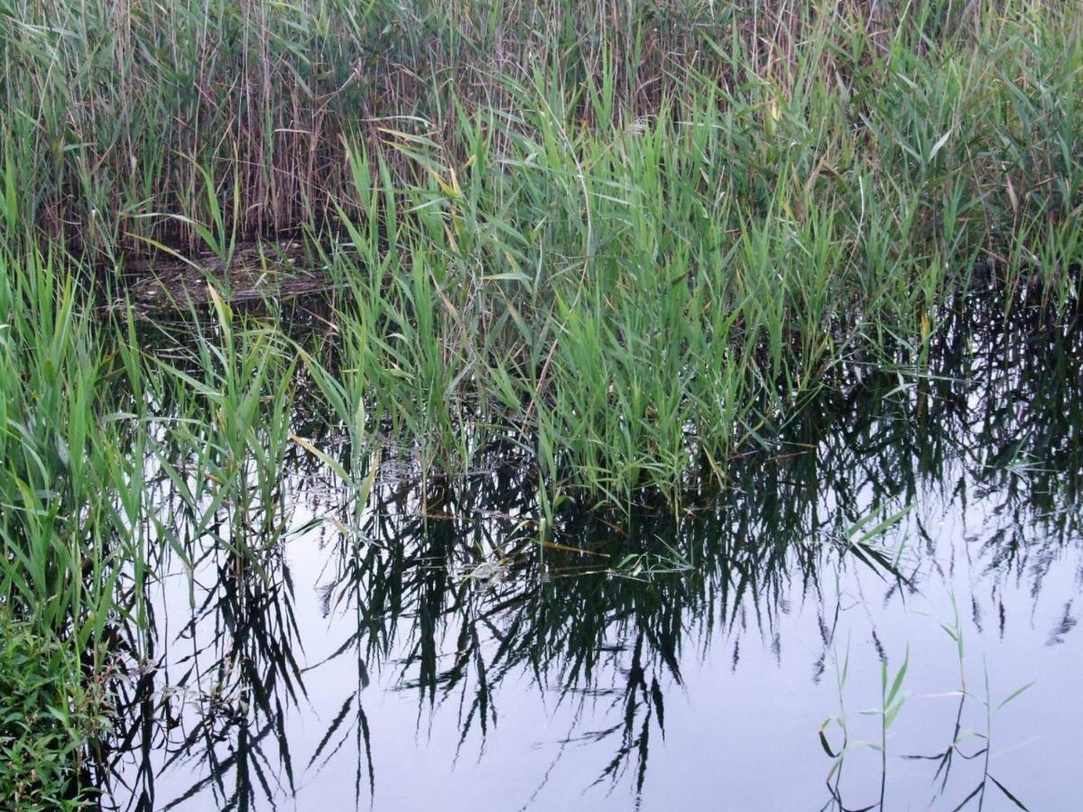 Casa Lagoa Verde Esmoriz Luaran gambar