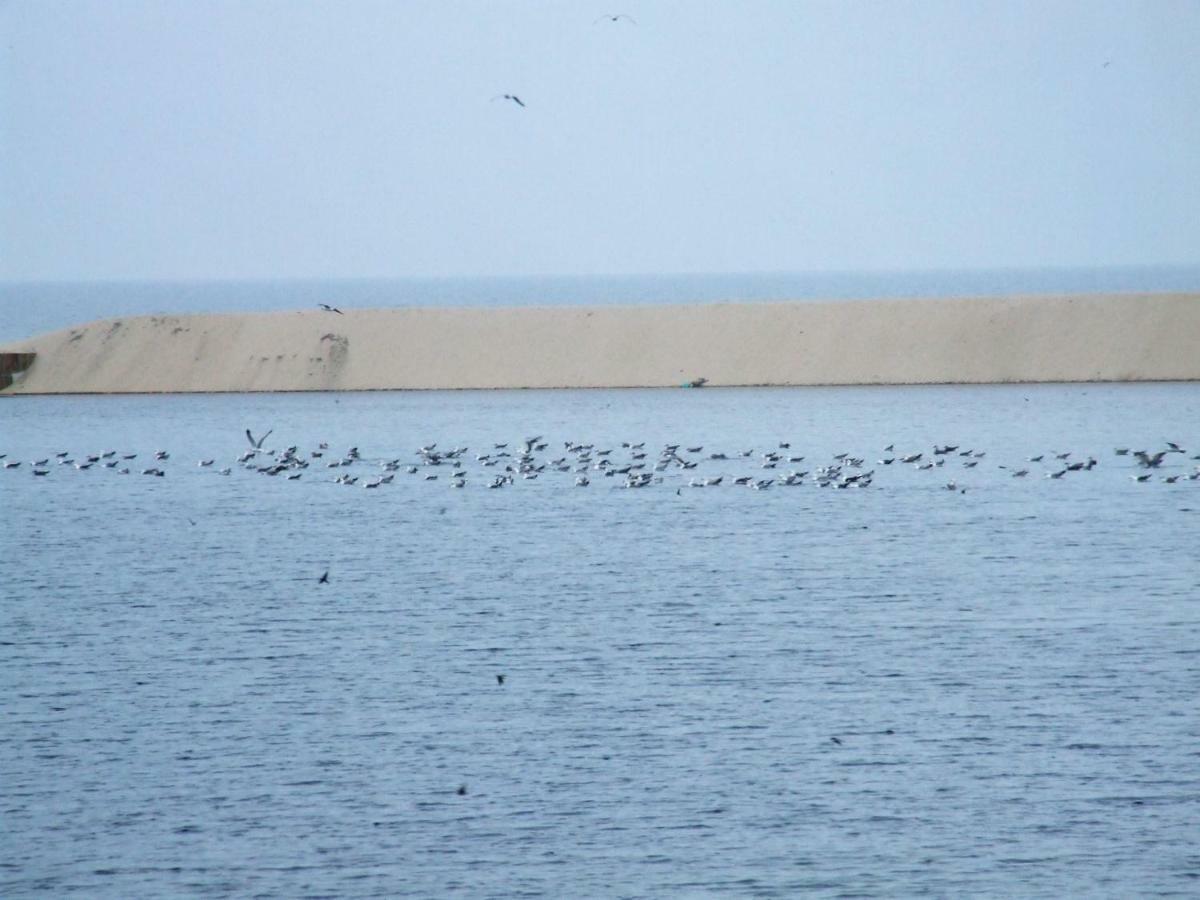 Casa Lagoa Verde Esmoriz Luaran gambar