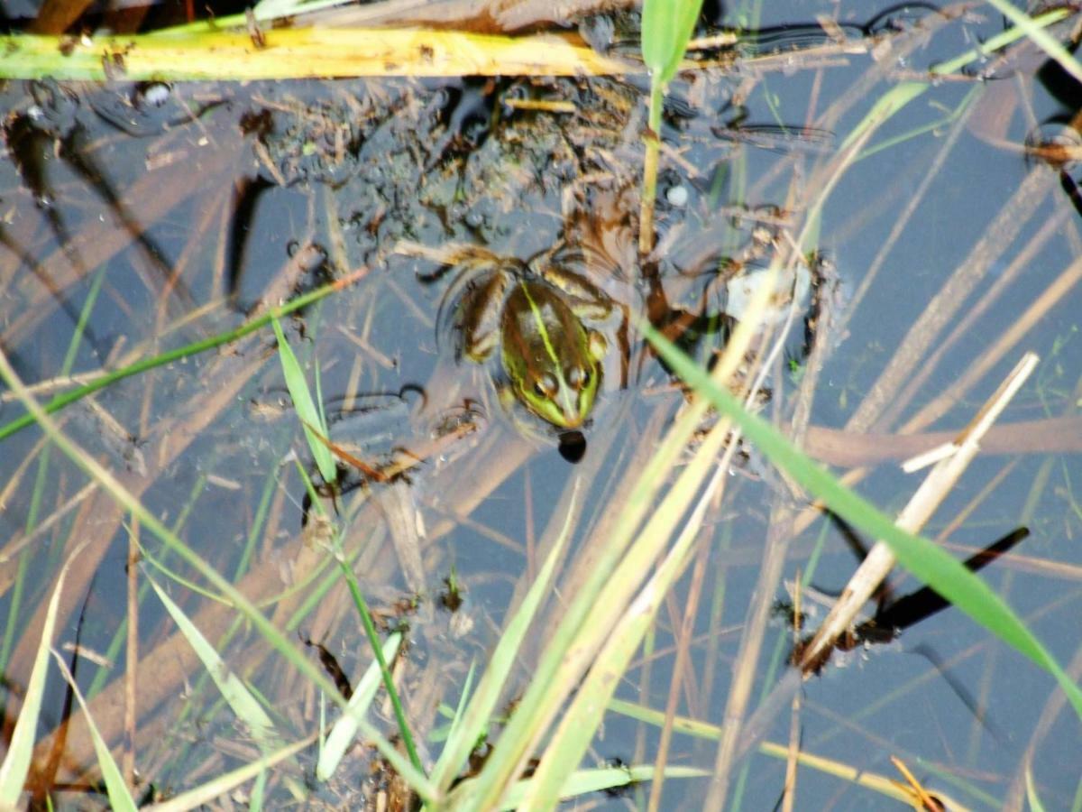 Casa Lagoa Verde Esmoriz Luaran gambar