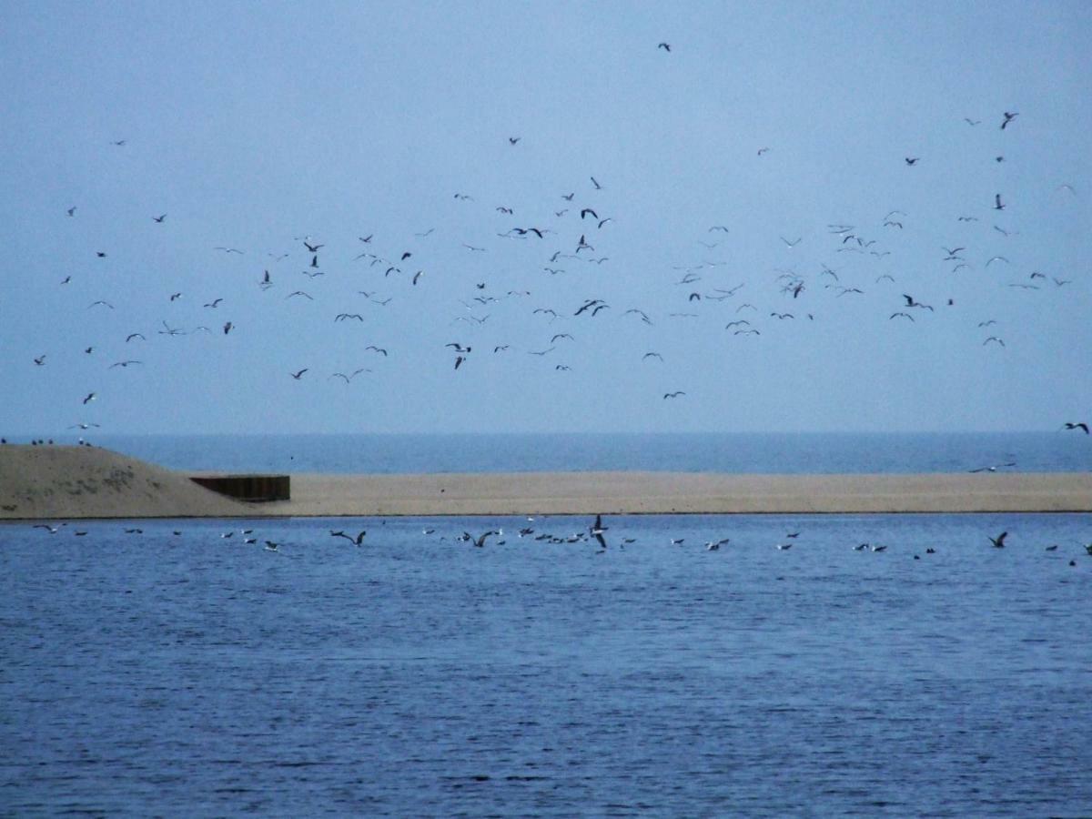 Casa Lagoa Verde Esmoriz Luaran gambar